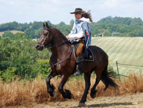 D'Artagnan sur son cheval - Agrandir l'image (fenêtre modale)