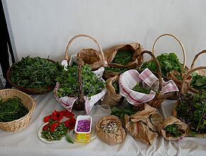 Agrandir l'image (fenêtre modale)